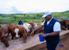 Kasaï Oriental : le FPI veille sur l’impact des projets